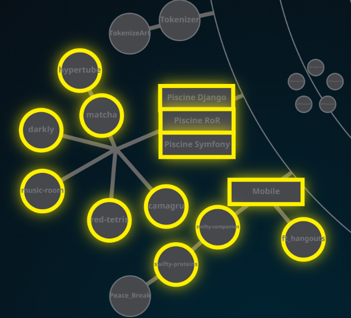 تطوير الويب والتطبيقات المحمولة